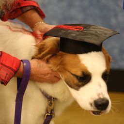 photograph by PeterW